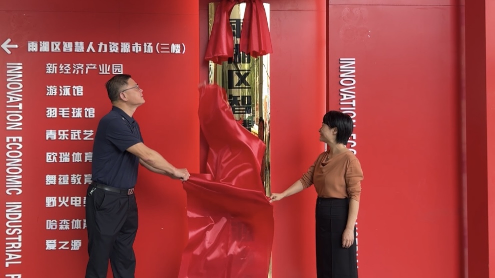 雨湖区举办智慧人力资源市场揭牌仪式暨首场招聘会