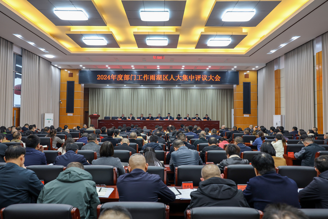 2024年度部门工作雨湖区人大集中评议大会召开