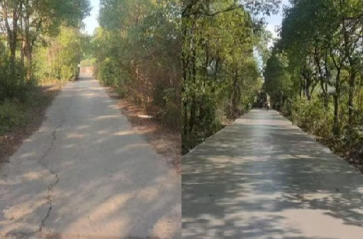 【乡村振兴】羊牯村：修缮村级道路，助力乡村振兴