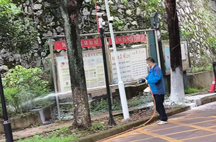 砂子岭社区：白蚁科普进社区 携手共筑防护网