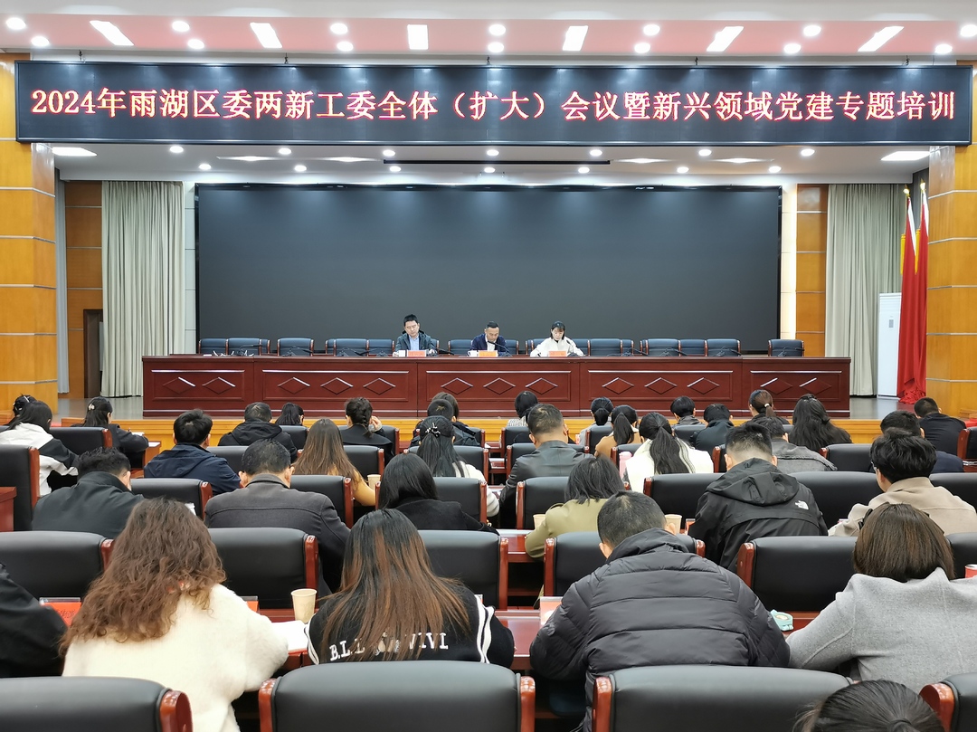 雨湖区召开2024年区委两新工委全体（扩大） 会议暨新兴领域党建专题培训