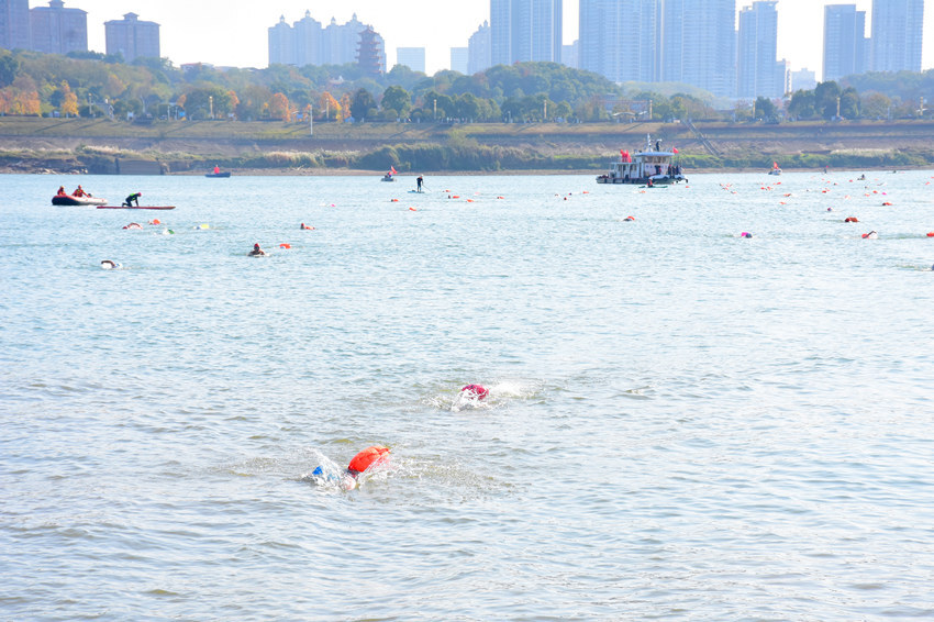 2024年湘潭市横渡湘江冬泳活动举行