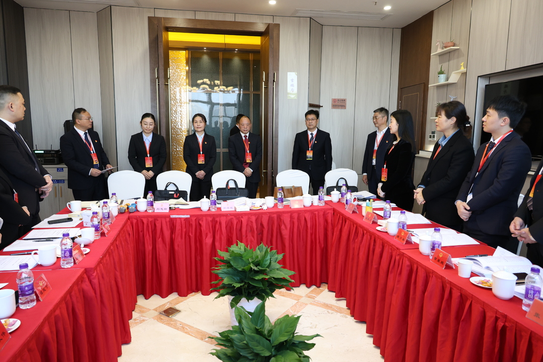 【两会时刻】陈小平一行走访看望区人大代表