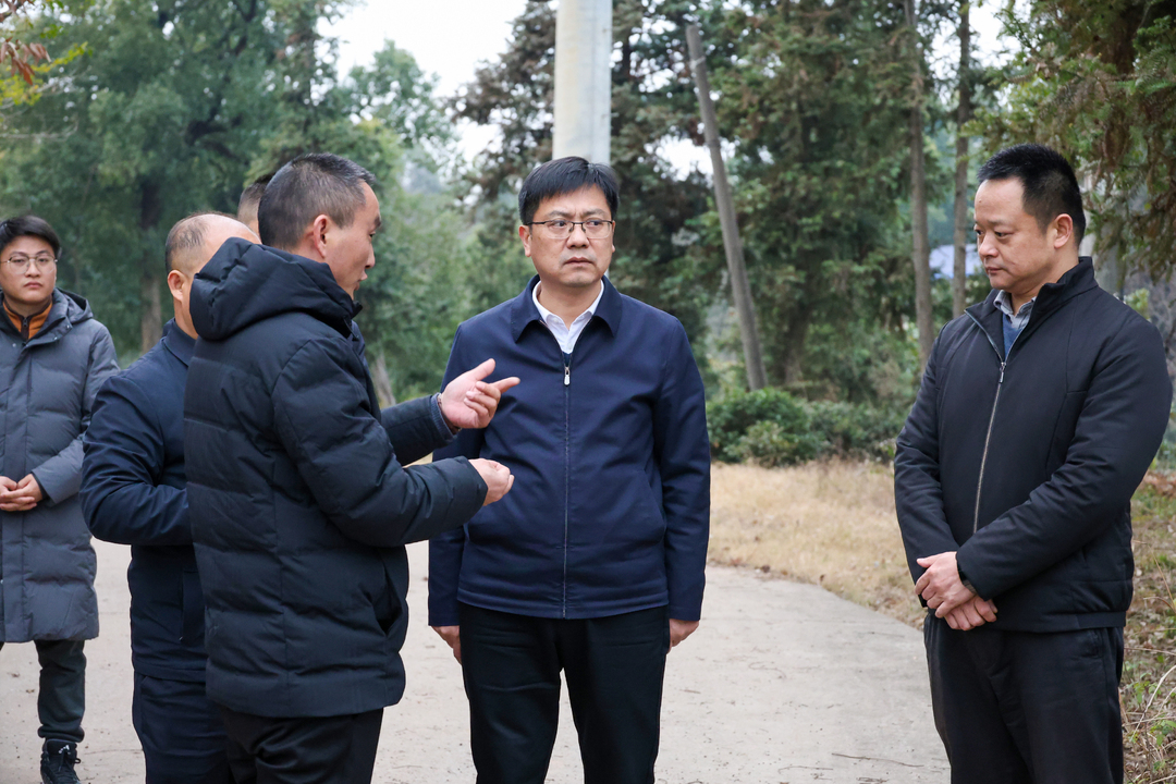 陈小平带队督导地质灾害防治工作