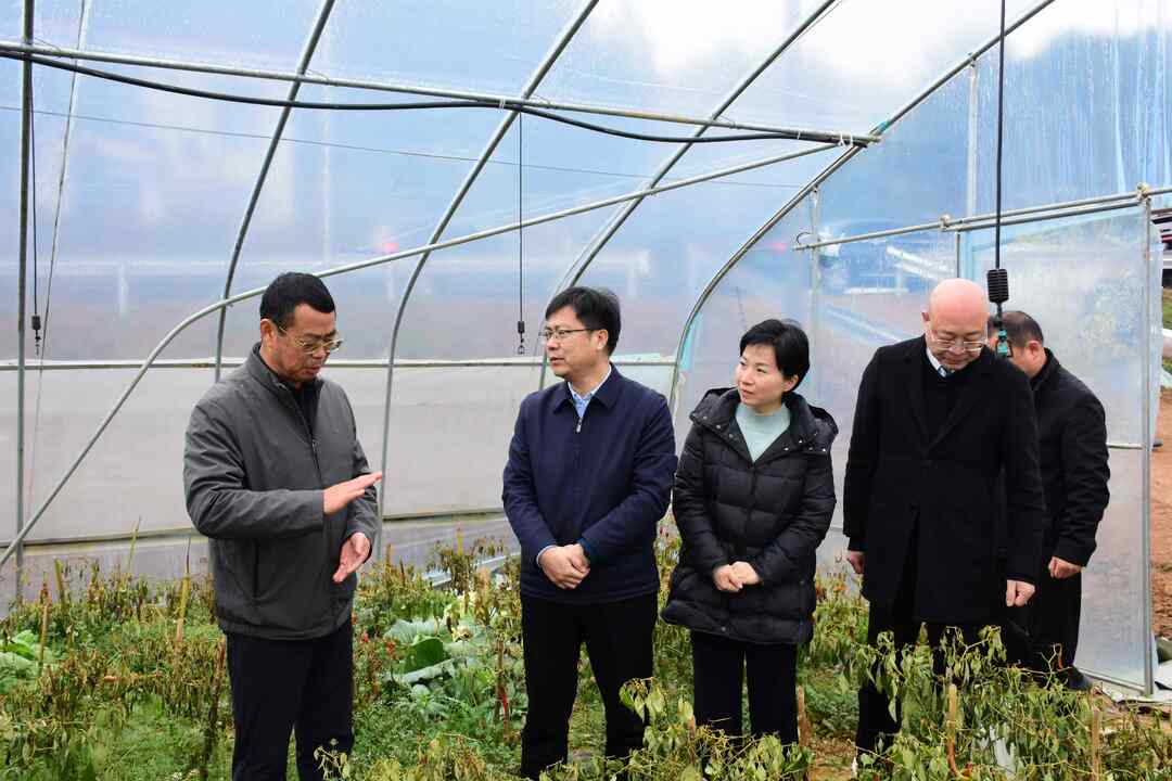 陈小平带队调研农业农村工作