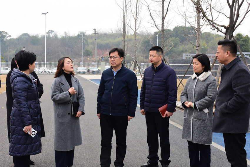 陈小平调研雨湖区教育工作