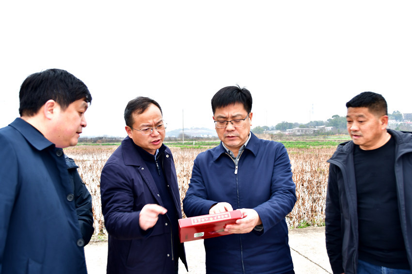 陈小平到响水乡朝龙村调研抓党建促乡村振兴工作
