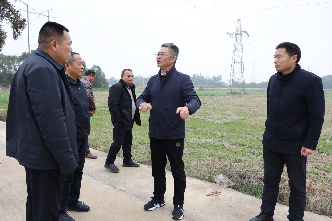 胡亚湘一行到姜畲镇调研