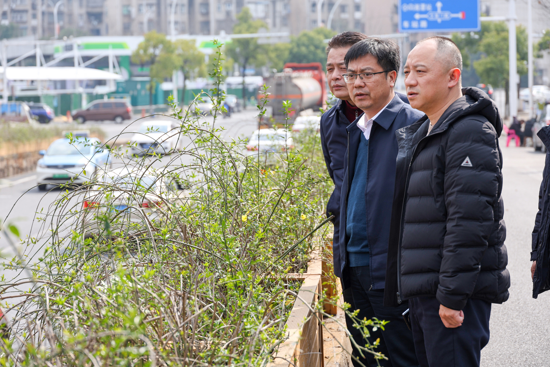 陈小平调度雨湖区城市内涝治理工作