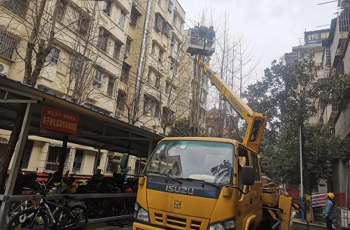 【平安雨湖】龙子巷社区联合市电业局​：开展树木砍伐行动 保障高压电线安全运行