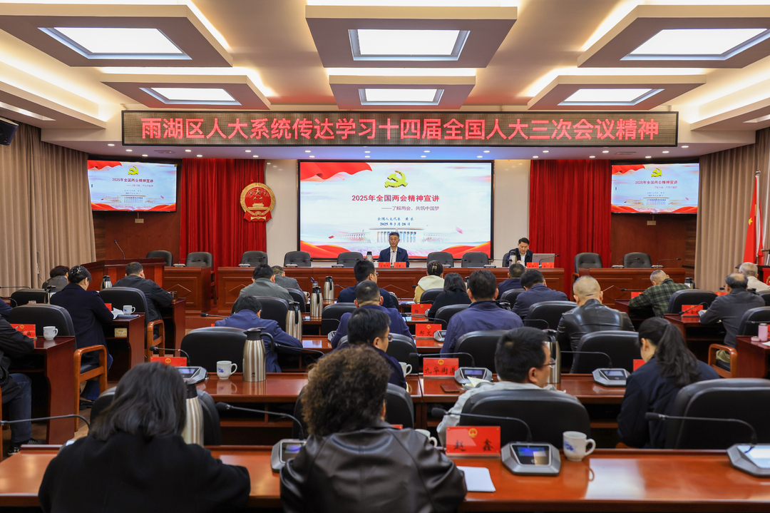 雨湖区人大系统传达学习十四届全国人大三次会议精神