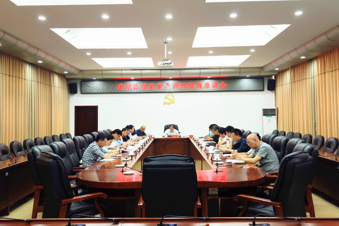 雨湖区召开闲置资产调研协商座谈会