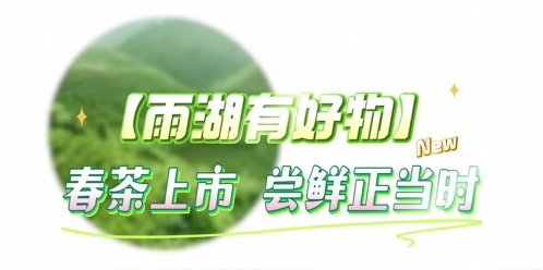雨湖有好物丨春茶上市，嘗鮮正當(dāng)時