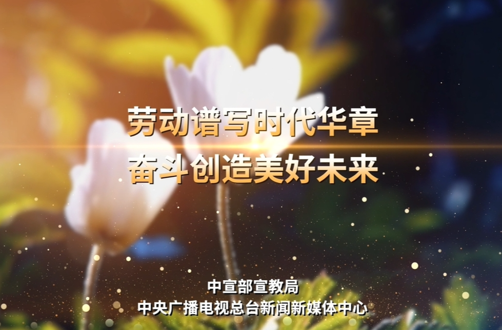 宣传片丨劳动者的双手