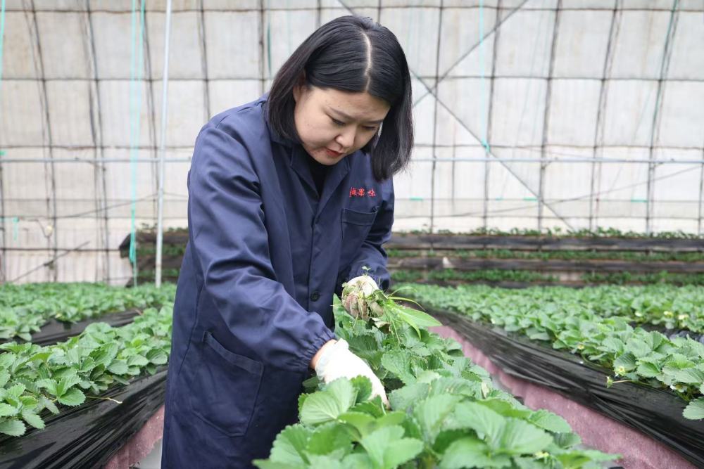 乡村沃土上的“青春引擎”