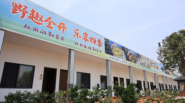 湘潭雨湖：金银花生态园绘就林下经济新图景