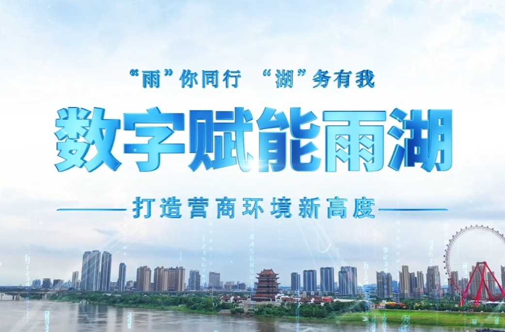 “雨”你同行，“湖”务有我丨数字赋能雨湖，打造营商环境新高度