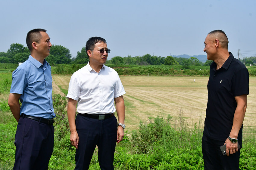 柳军辉开展巡河、巡林、巡田工作