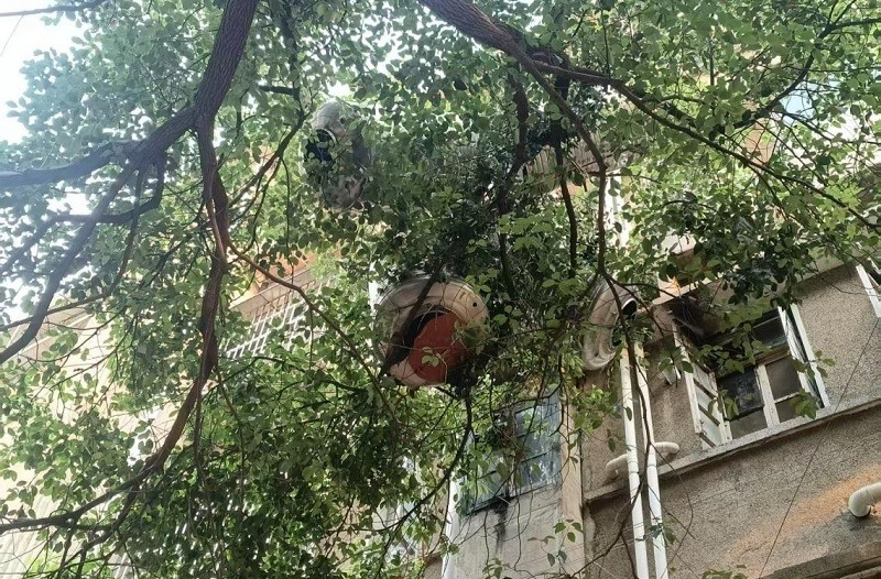 红旗社区：网格聚力解民忧  快速处置高中坠物安全隐患