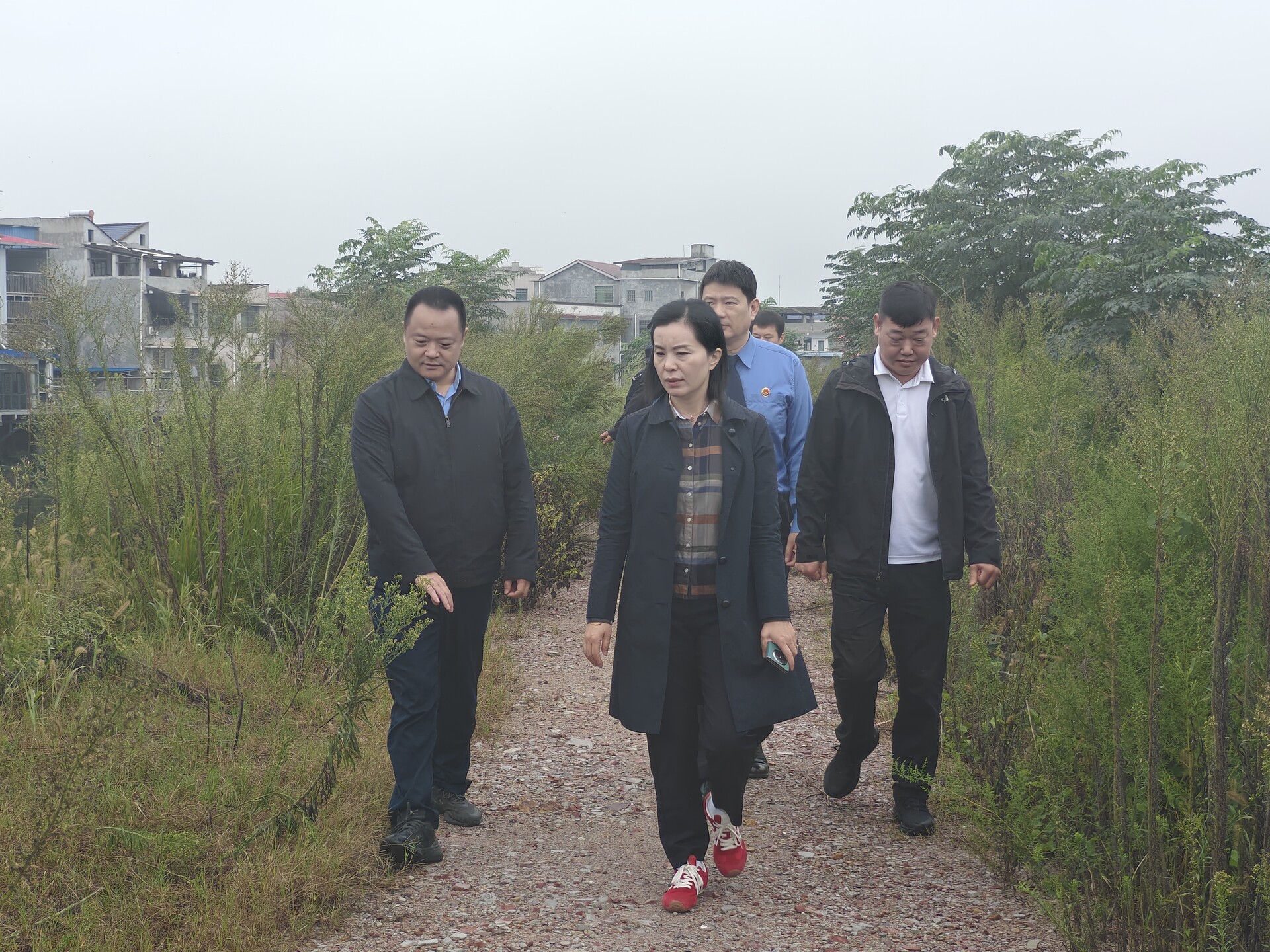 区领导开展“三长巡河”并调研乡村振兴工作