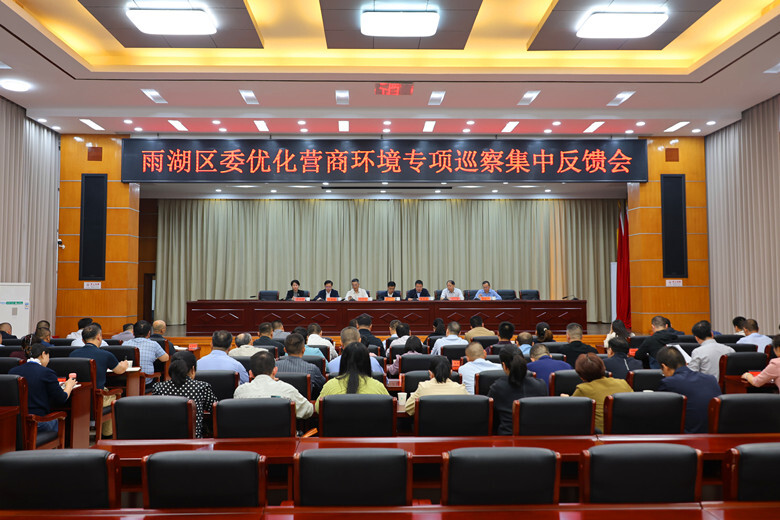 雨湖区委优化营商环境专项巡察集中反馈会召开