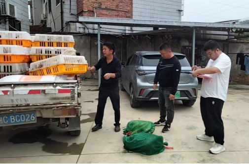 罗金塘村：化肥鸡苗送上门 产业帮扶暖民心