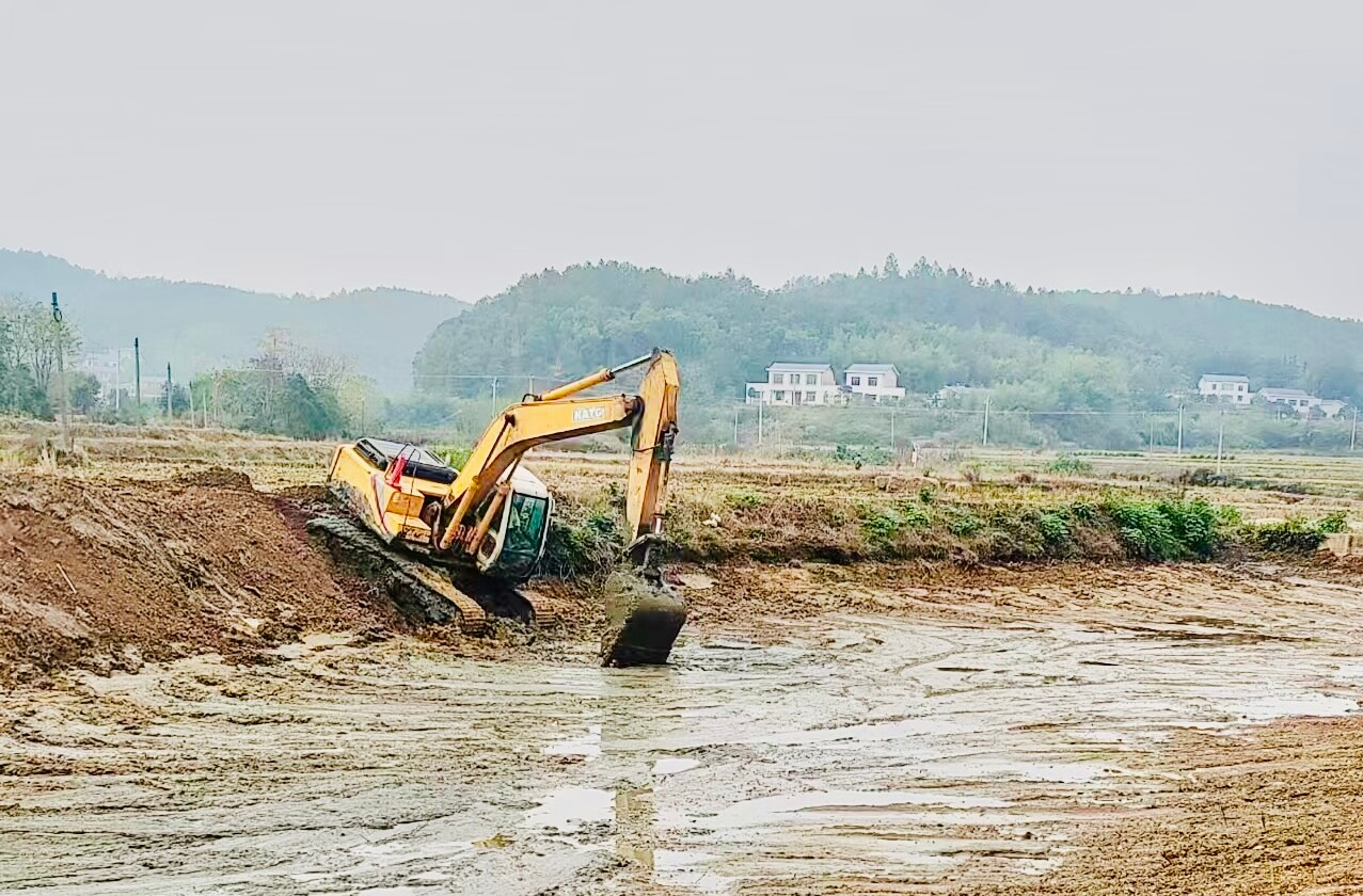 柳军辉带队调研黑臭水体治理项目