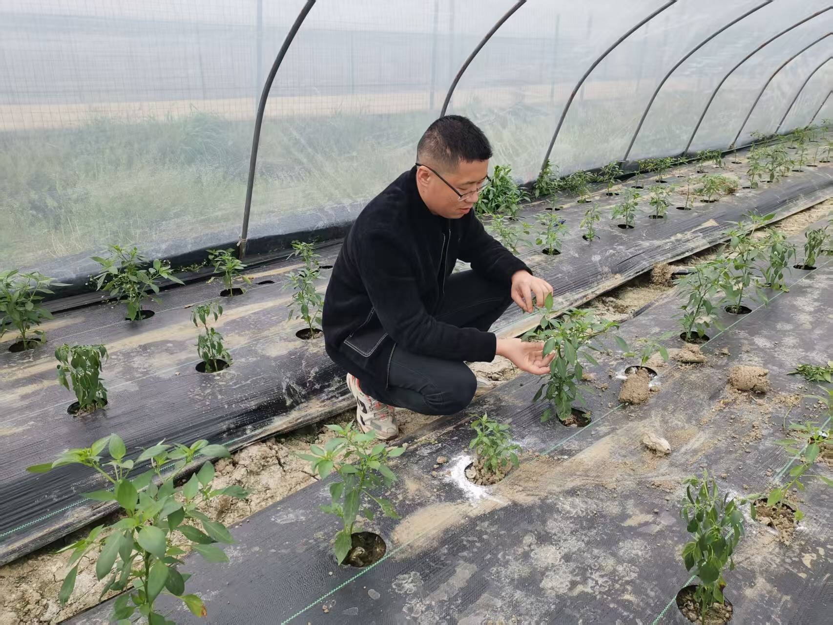 【两会进行时】委员风采丨唐勇：在田埂上履职，助力乡村振兴