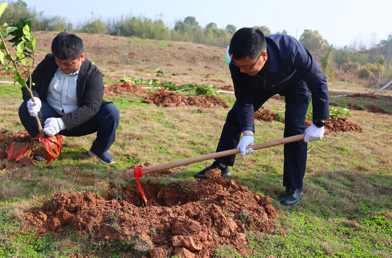 植此青绿正当时 雨湖区干部群众共赴“春天之约”