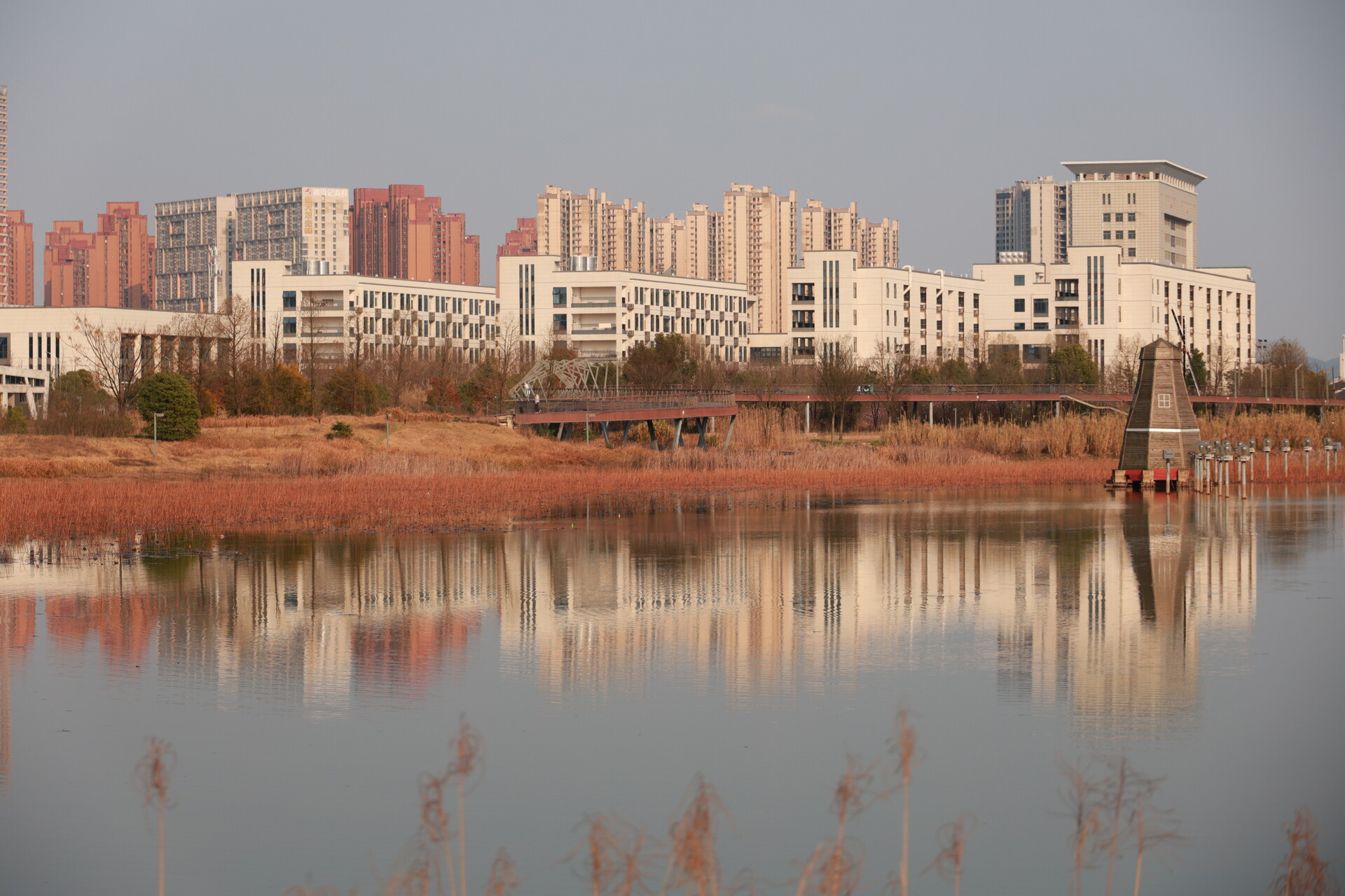 组图丨周末走进公园 一起遇见春天