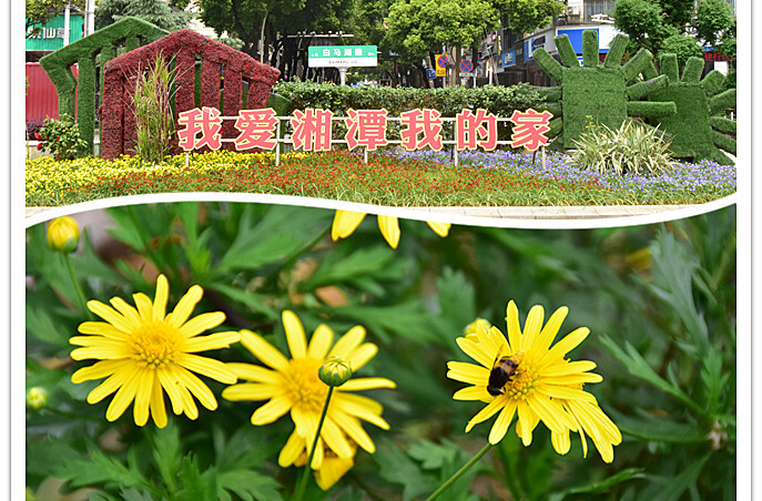 在雨湖，来一场春日Color walk！