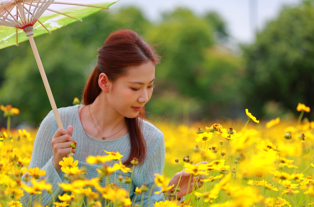 组图｜湘潭九华小西湖：风吹花浪动！来金色花海赴一场初夏之约