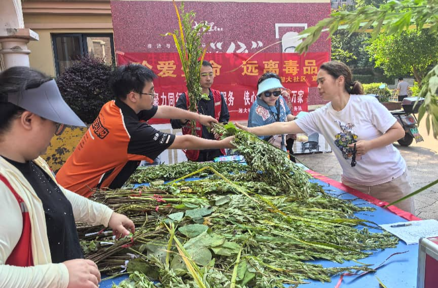 湘大社区：艾草飘香迎端午，“同行侠”送爱暖万家