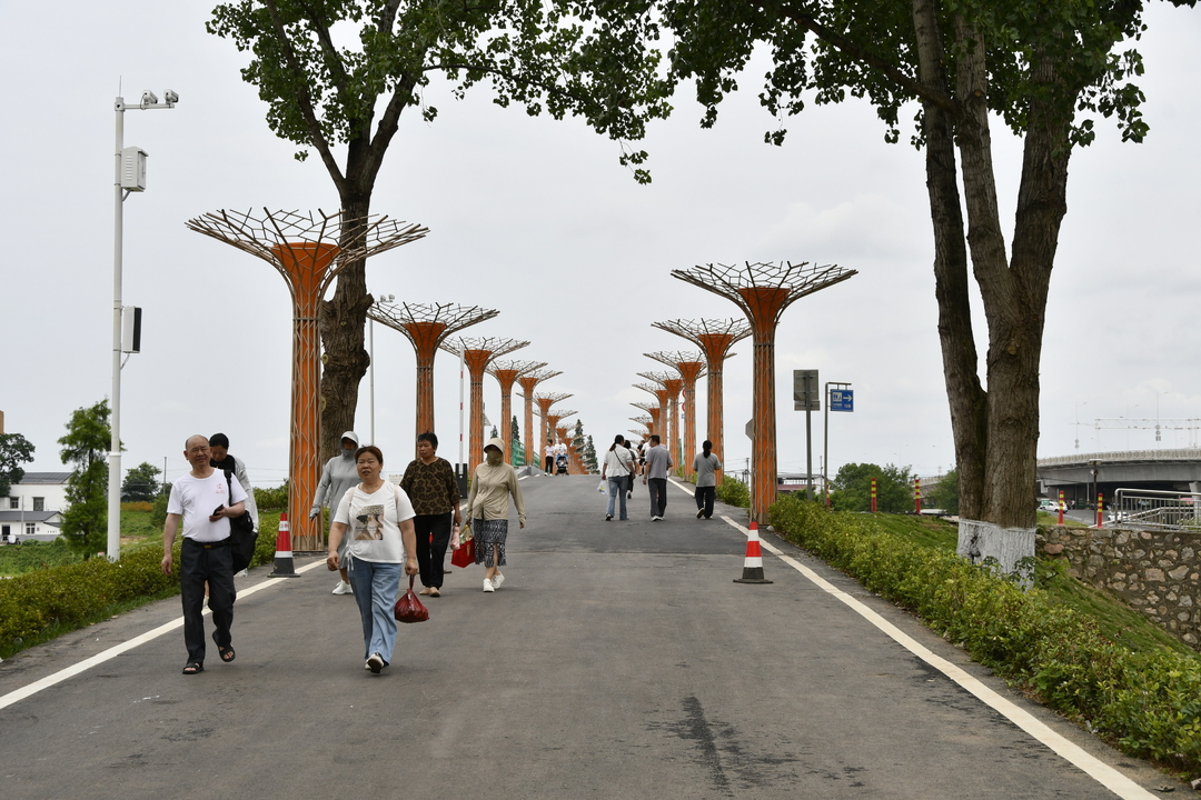 湘江明珠焕新颜 撒欢杨梅洲都市田园项目18日试营业