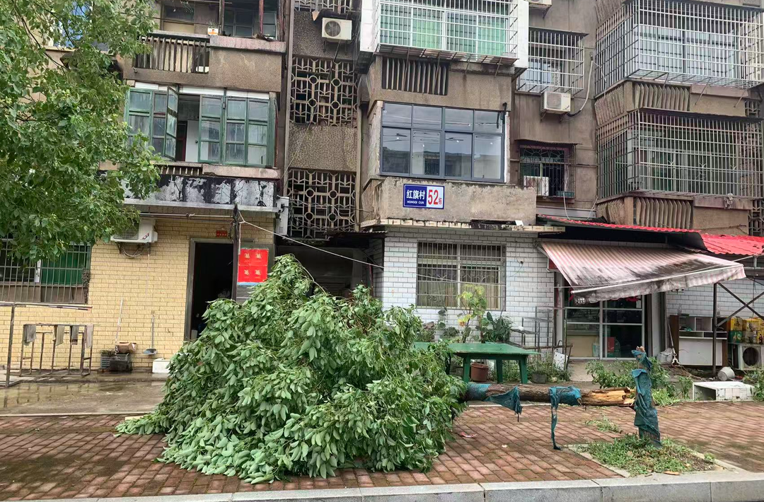 红旗社区：台风夜逆行守安澜 初心如磐护民生