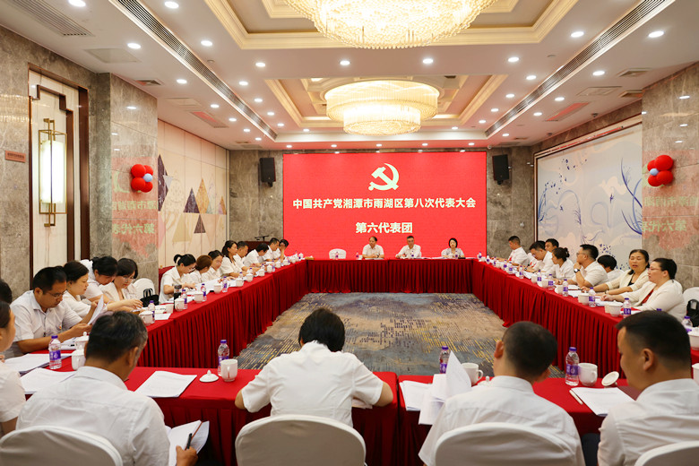 中国共产党湘潭市雨湖区第八次代表大会进行分团讨论