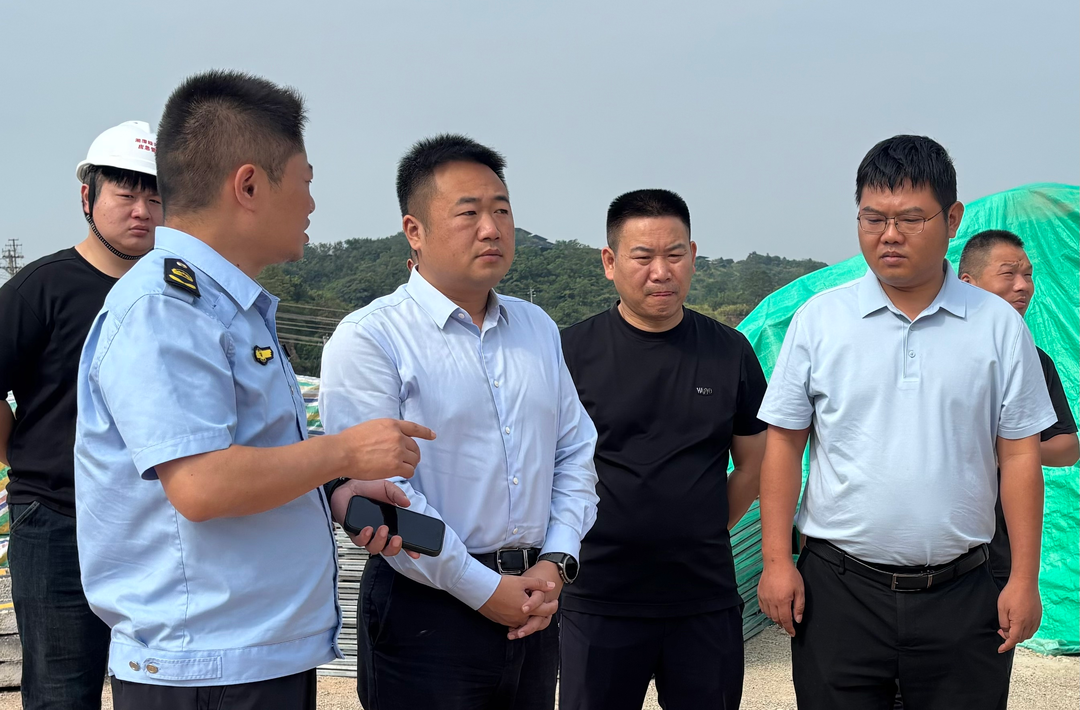 雷凌湘现场督导省第一生态环境保护督察组交办事项整改工作