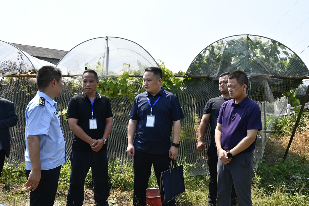 雨湖区迅速整改省环保督察组交办信访件