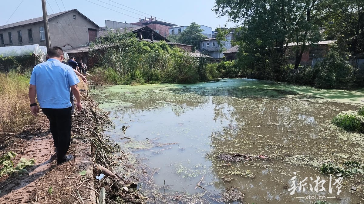 省第一生态环境保护督察组下沉雨湖区现场督办 迅速推进高坪村水塘垃圾污染问题整改