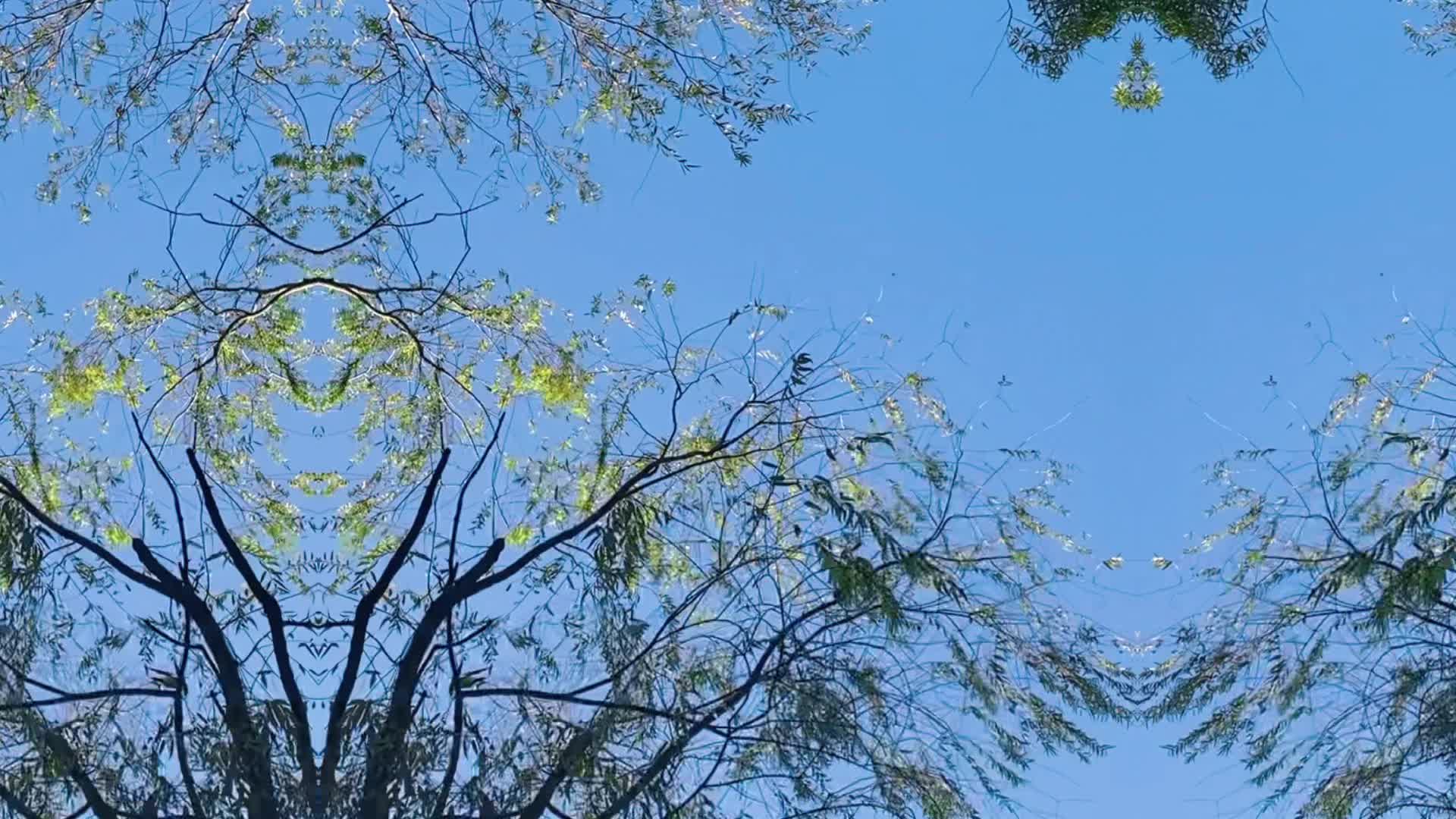 【视频】冬日游园——“雨”您相遇
