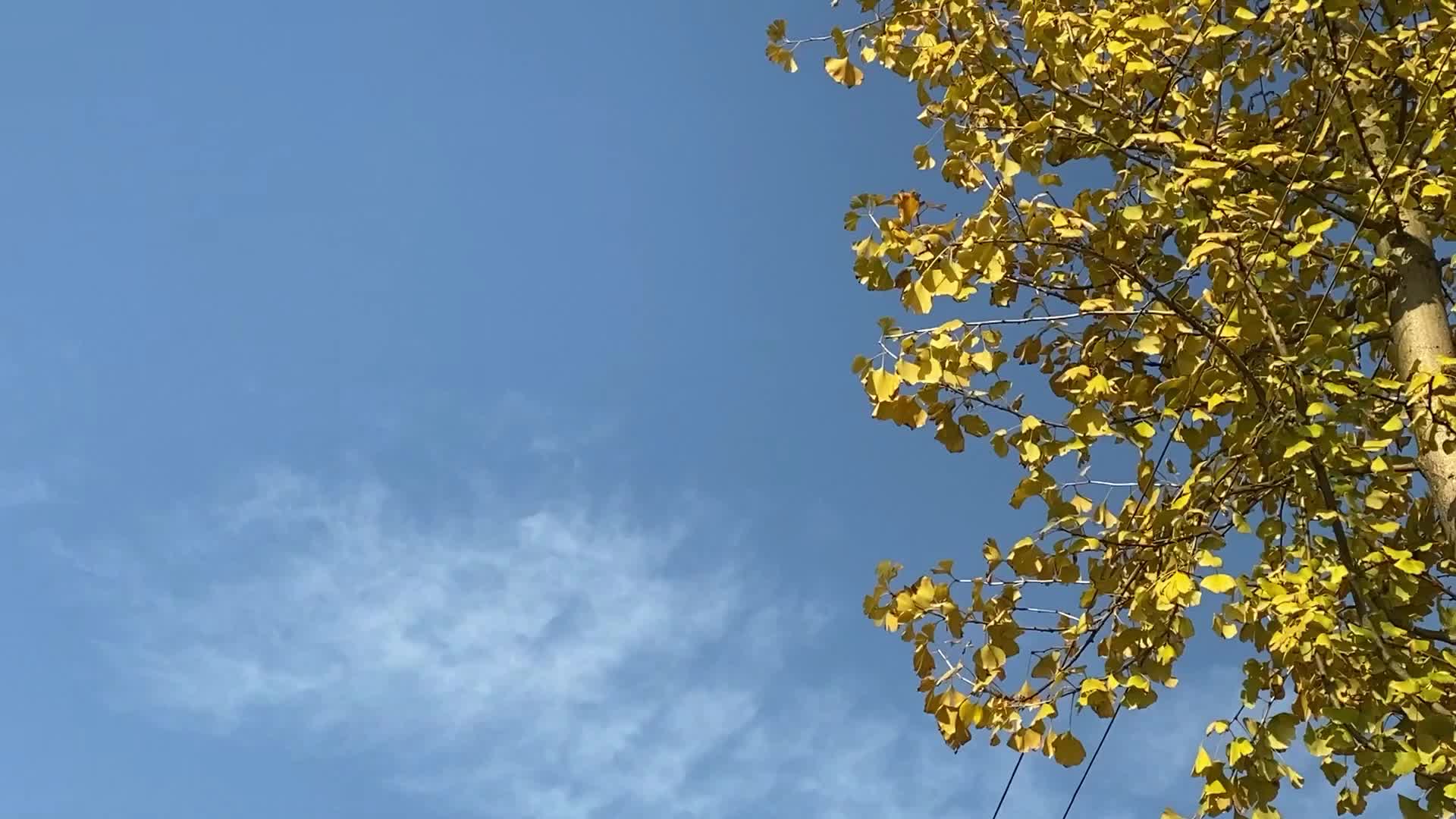 视频｜乡村振兴，罗金塘村的幸福生活