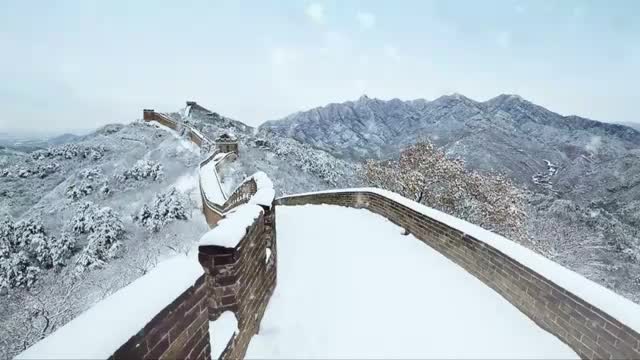 冬奥会主题MV | 美美与共