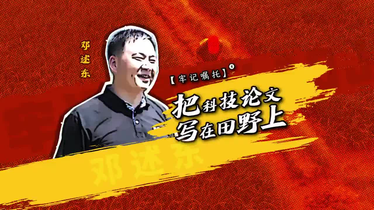 牢记嘱托（四）邓述东：把科技论文写在田野上