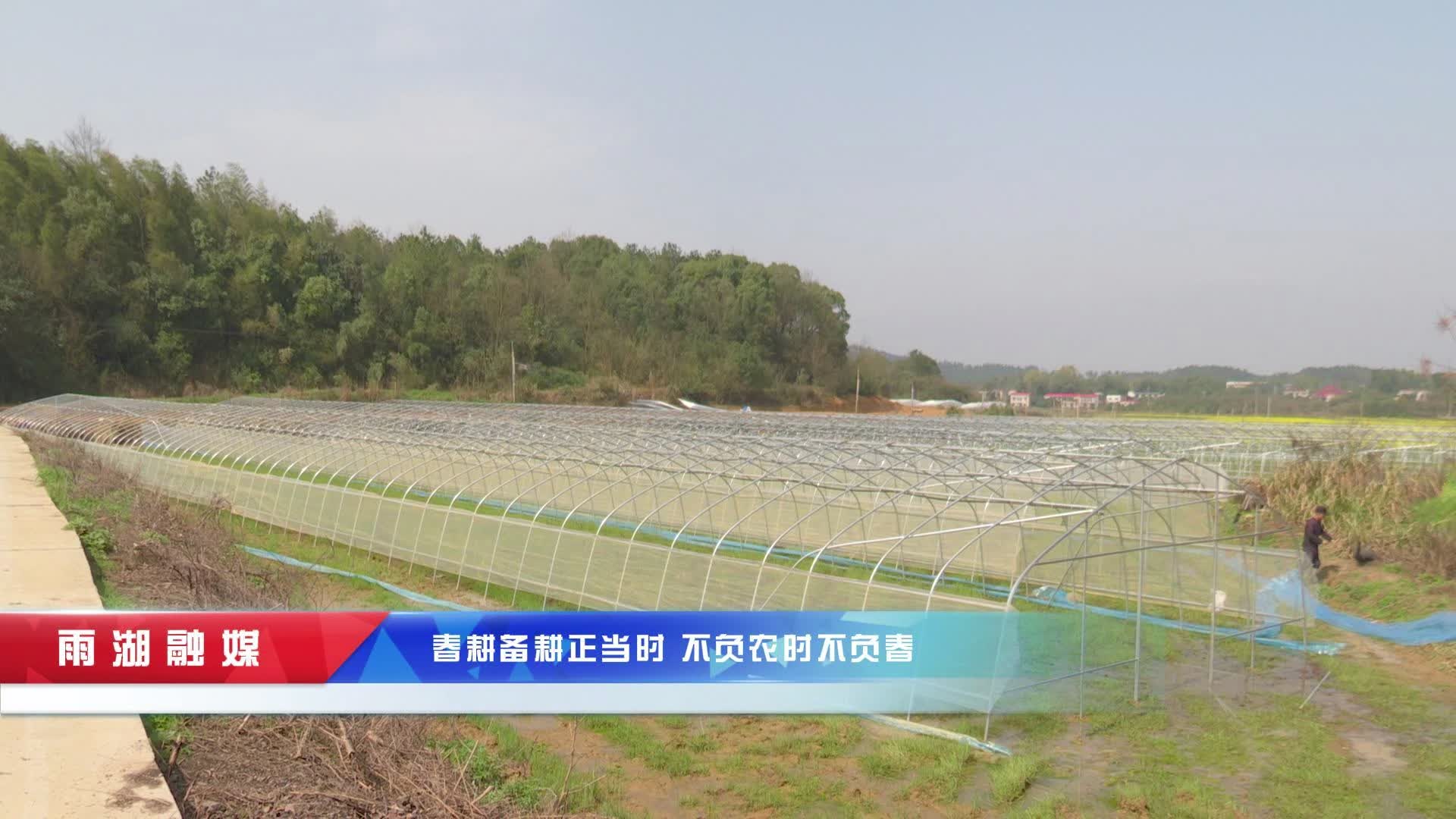 视频丨雨湖区：春耕备耕正当时，不负农时不负春