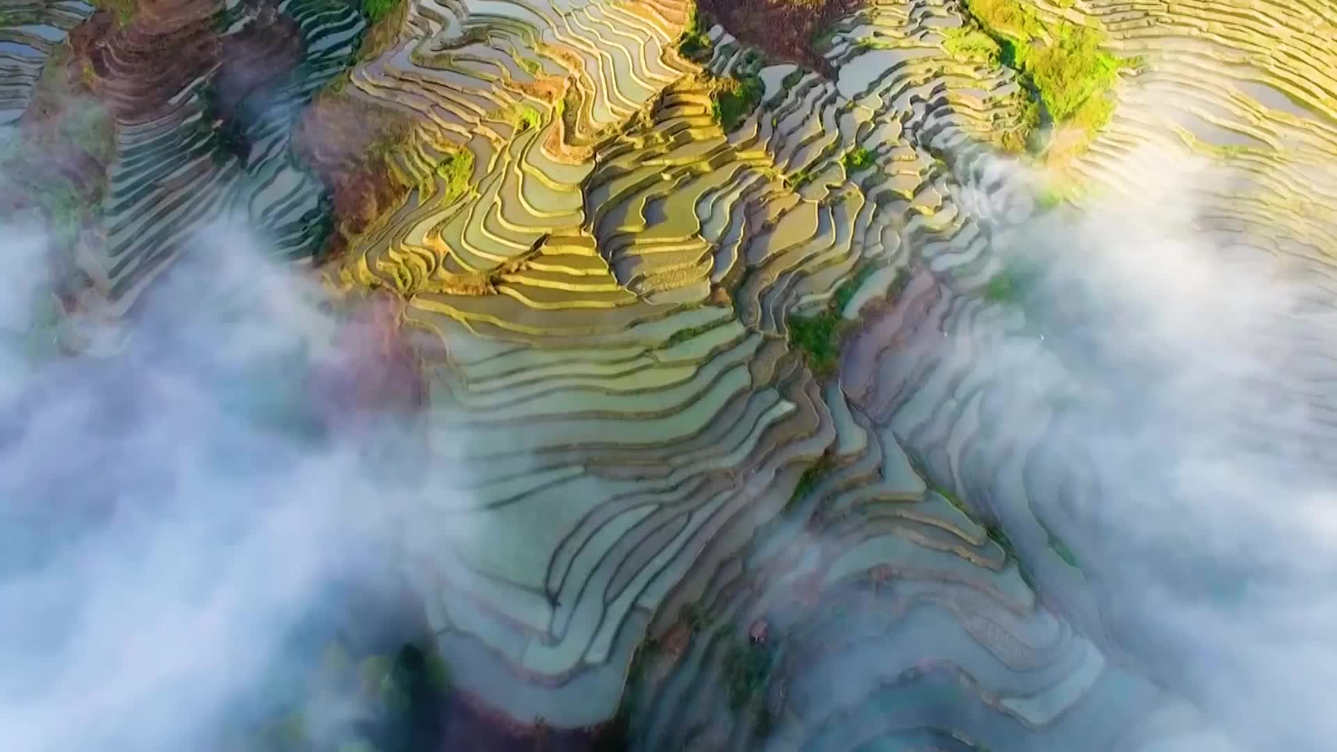 2025年“新春走基层”优秀视听作品展播丨“新春走基层”梯田上的阿者科