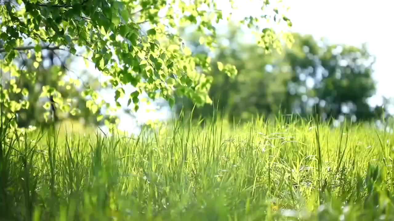 视频 | 响水乡卫生院：青少年体重管理的3个日常法则