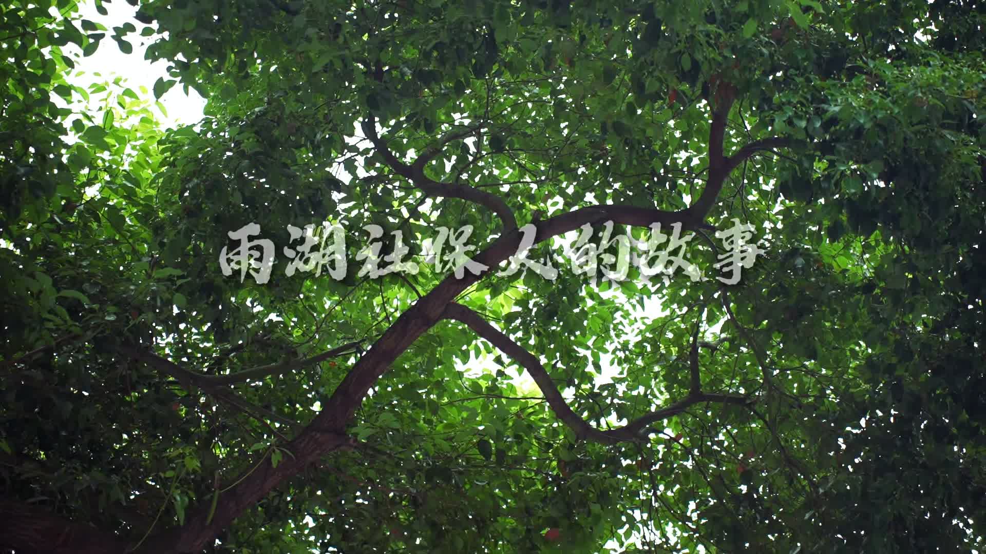雨湖社保人的故事：方寸之间，民生有光