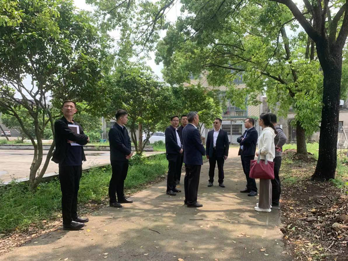 柳军辉督导长城乡新石村深化全国文明城市创建工作