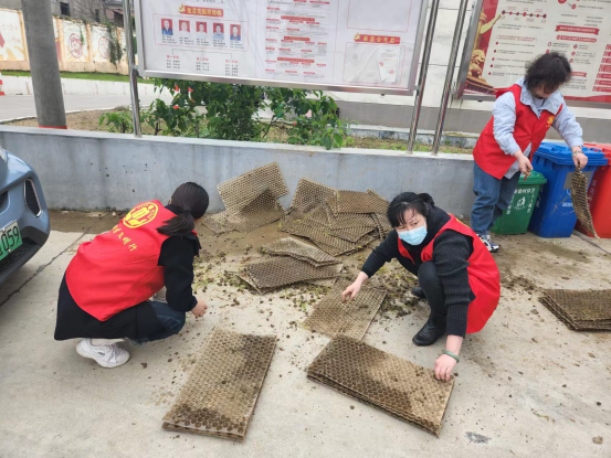 区民政局开展“讲文明爱卫生，改陋习树新风”爱国卫生大扫除志愿服务活动