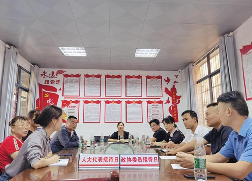 昭潭街道：代表、委员合力解民忧